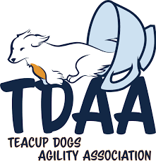 TDAA logo