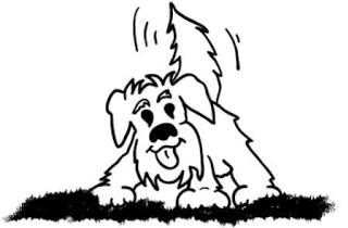 C-WAGS logo